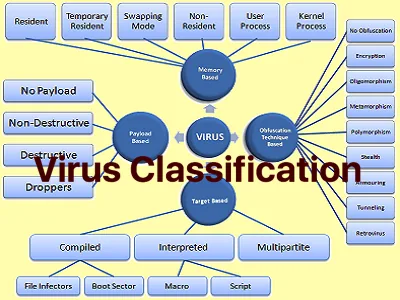 Virus Classification mind map