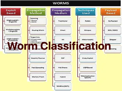 Worm Classification mind map